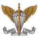 logo ngu-07
